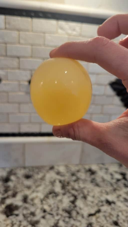 hand holding an egg that has transformed with vinegar 