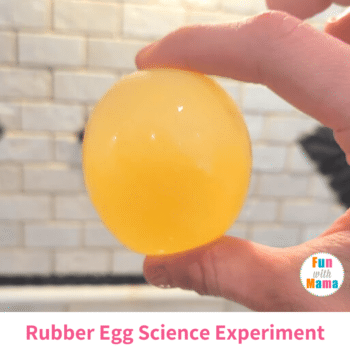 easy rubber egg stem experiment