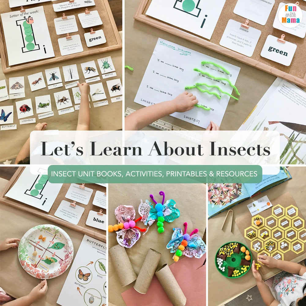 insect activity for preschool
