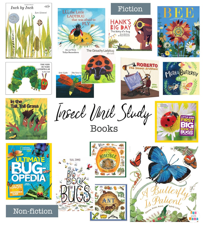 insect books for kids