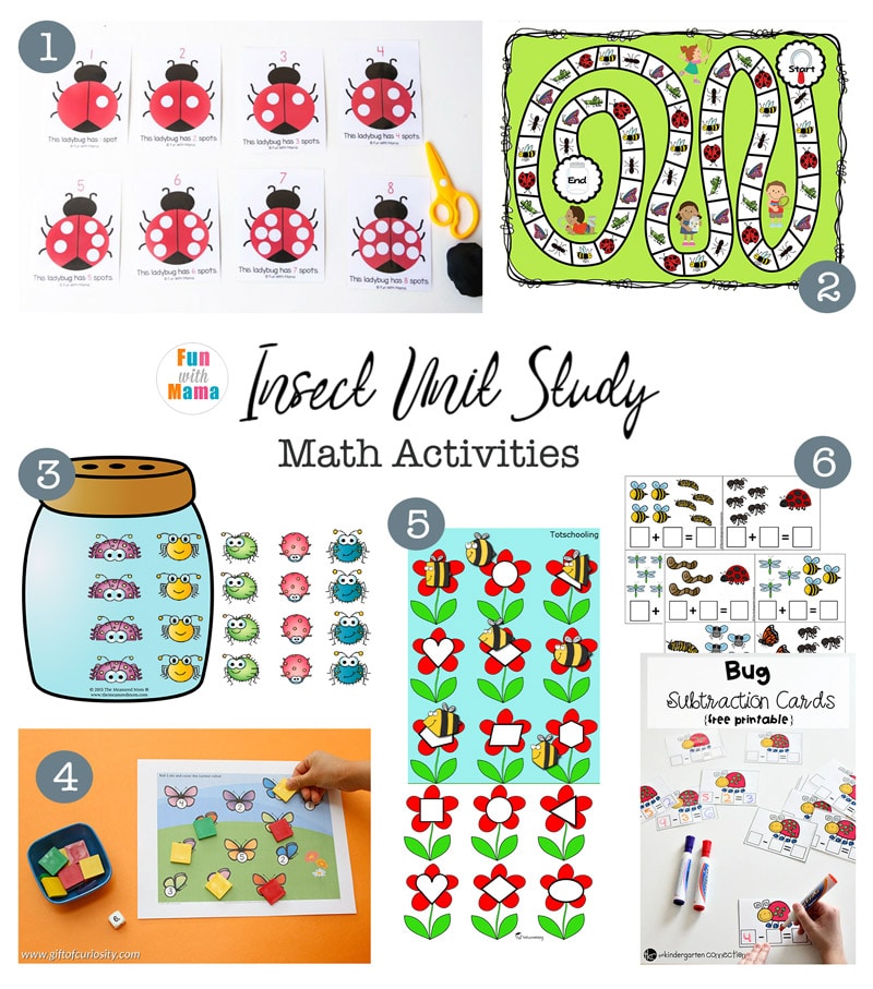 insect math