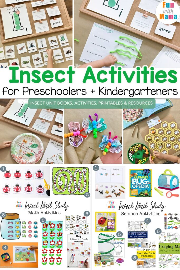 insect activities for preschoolers