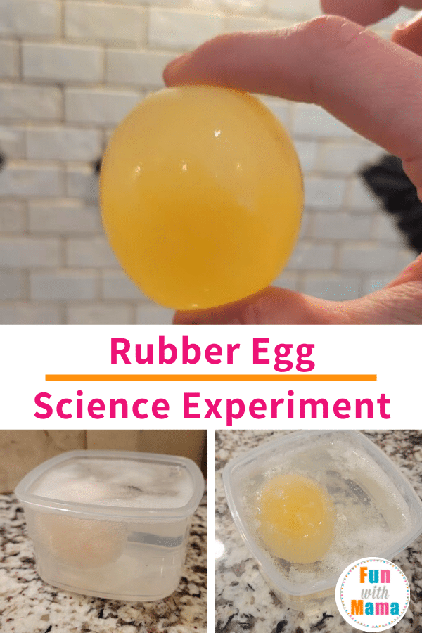 rubber egg science experiment