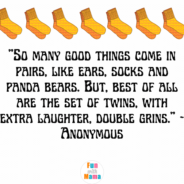 So many good things come in pairs. Like ears, socks and panda bears. But best of all are the set of twins with extra laughter, double grins" - Anonymous