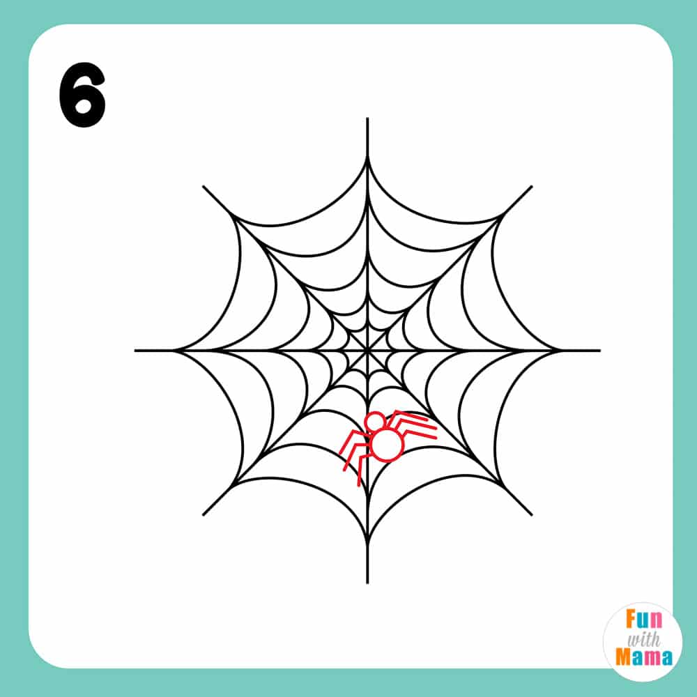 drawing the spider on the spider web 