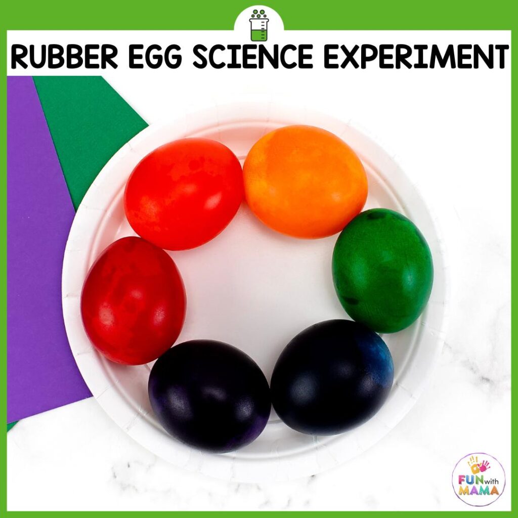 egg in vinegar science experiment