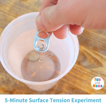 surface tension science experiment with paper clip