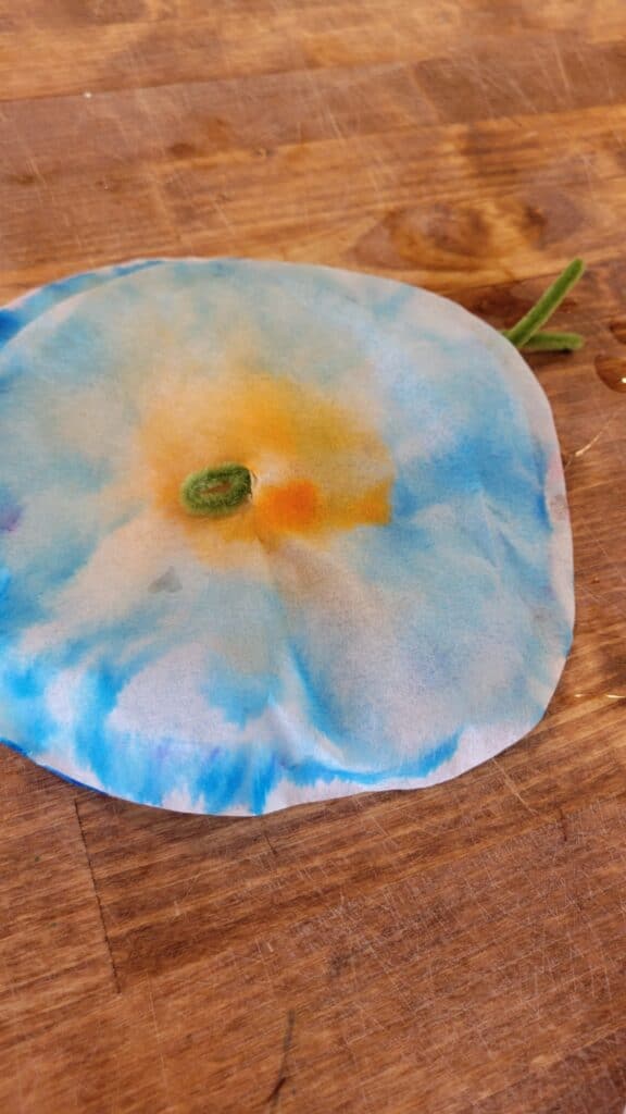 making a flower with coffee filters, markers, and water 
