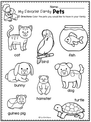 pets worksheet