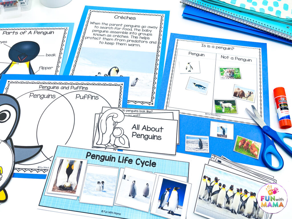 penguin life cycle diagram