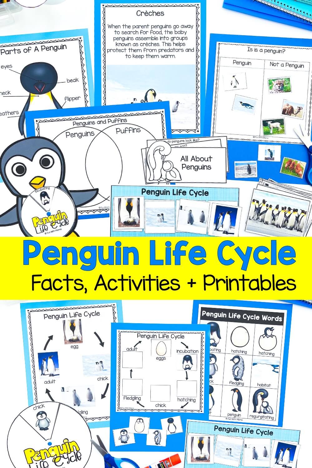 penguin life cycle activities