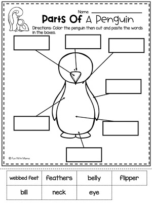 parts of a penguin worksheet
