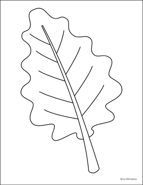 oak-leaf