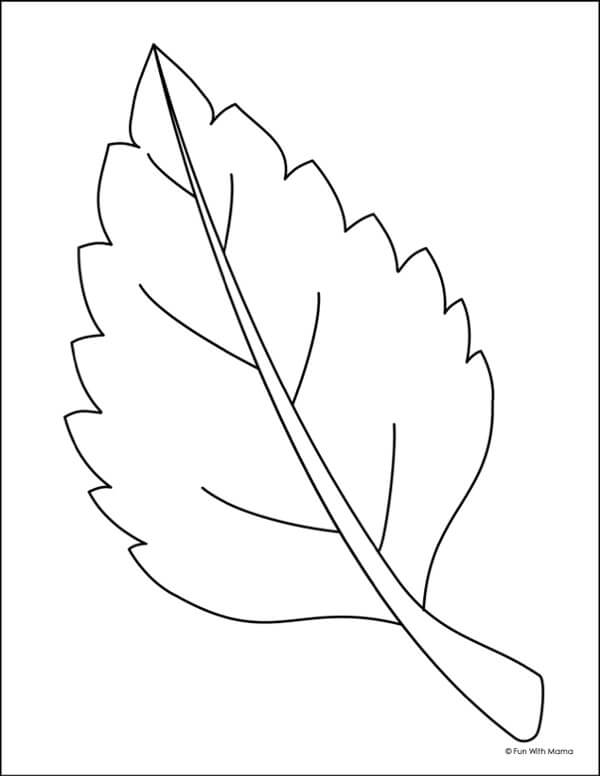 serrate-leaf