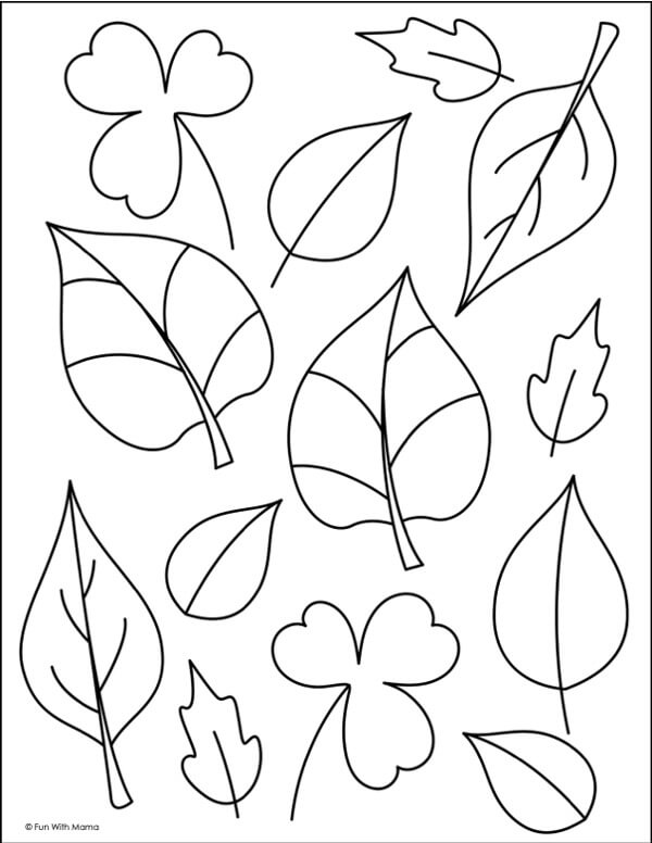 textured-leaves