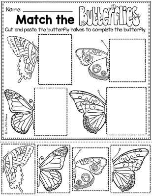 butterfly worksheet matching