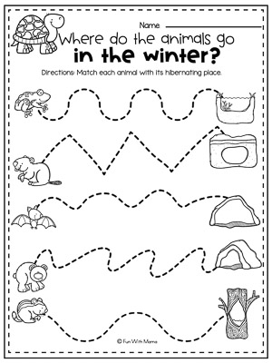 hibernation worksheets