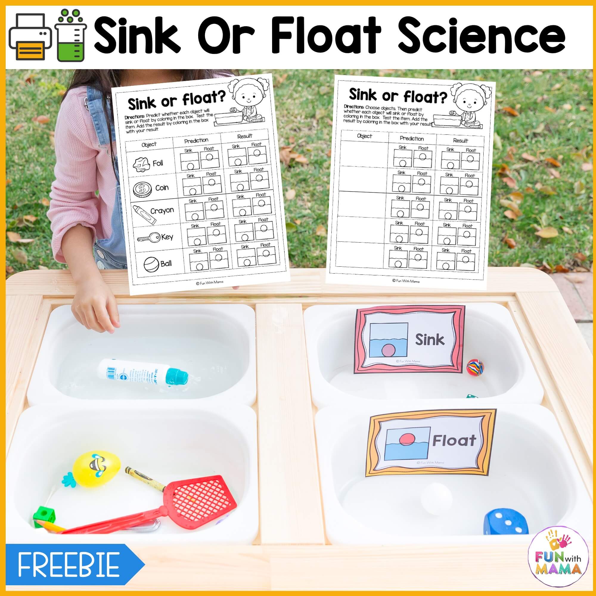 sink or float worksheet science experiment