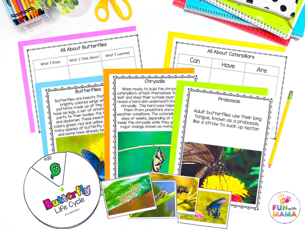 butterfly life cycle activities