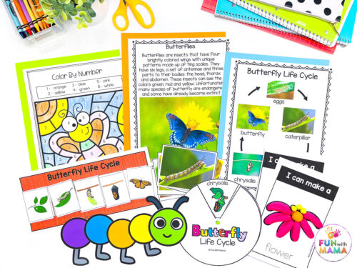 Life Cycle of a Butterfly Printable Pack - Fun with Mama