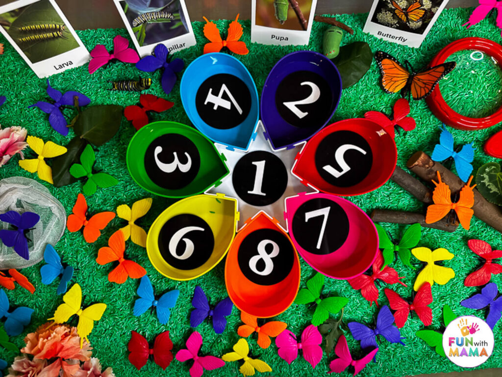 Butterfly sensory bin sorting activity by number