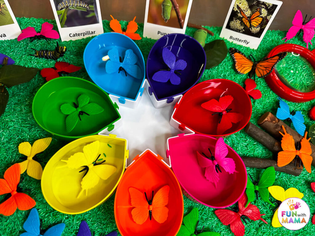 Butterfly sensory bin sorting activity by shape and color