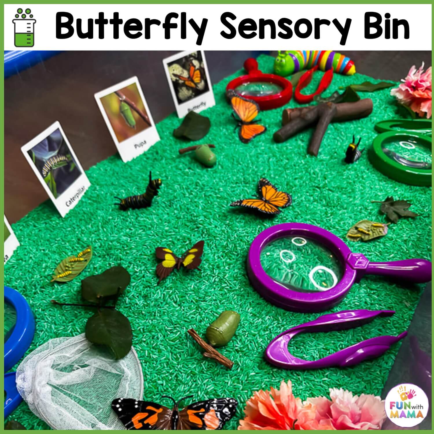 butterfly sensory bin