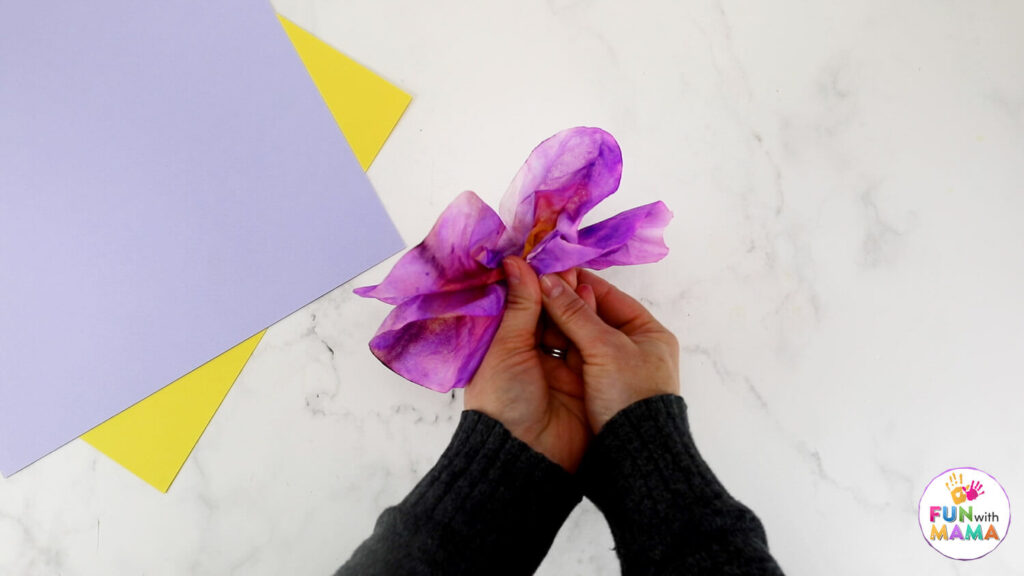 folding coffee filter butterflies