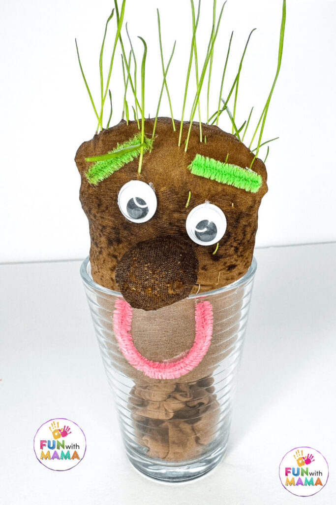 grass head in a cup