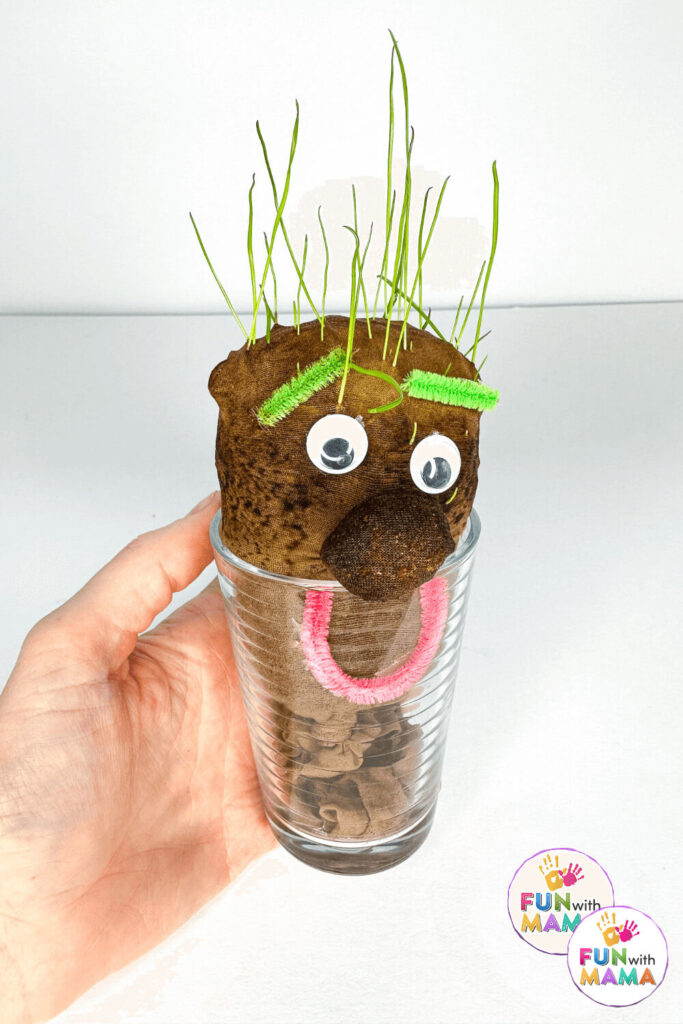 cute grass head in glass