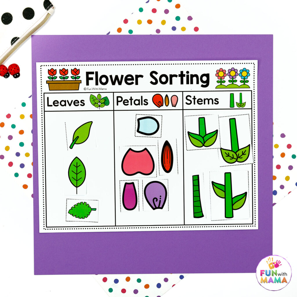 flower sorting activity