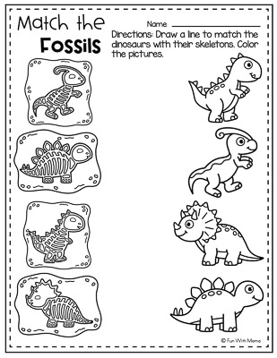 match the fossils