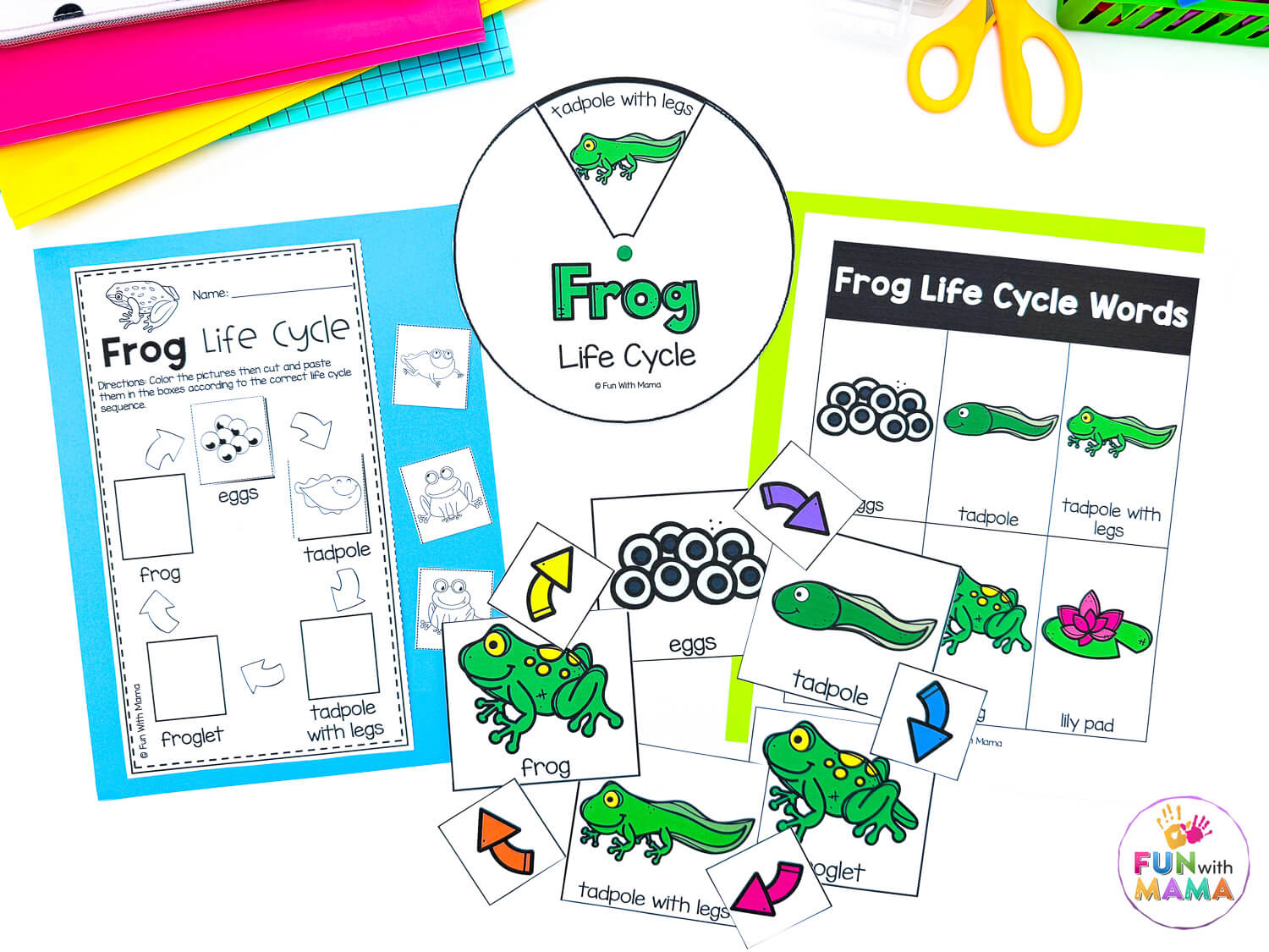 frog life cycle activities