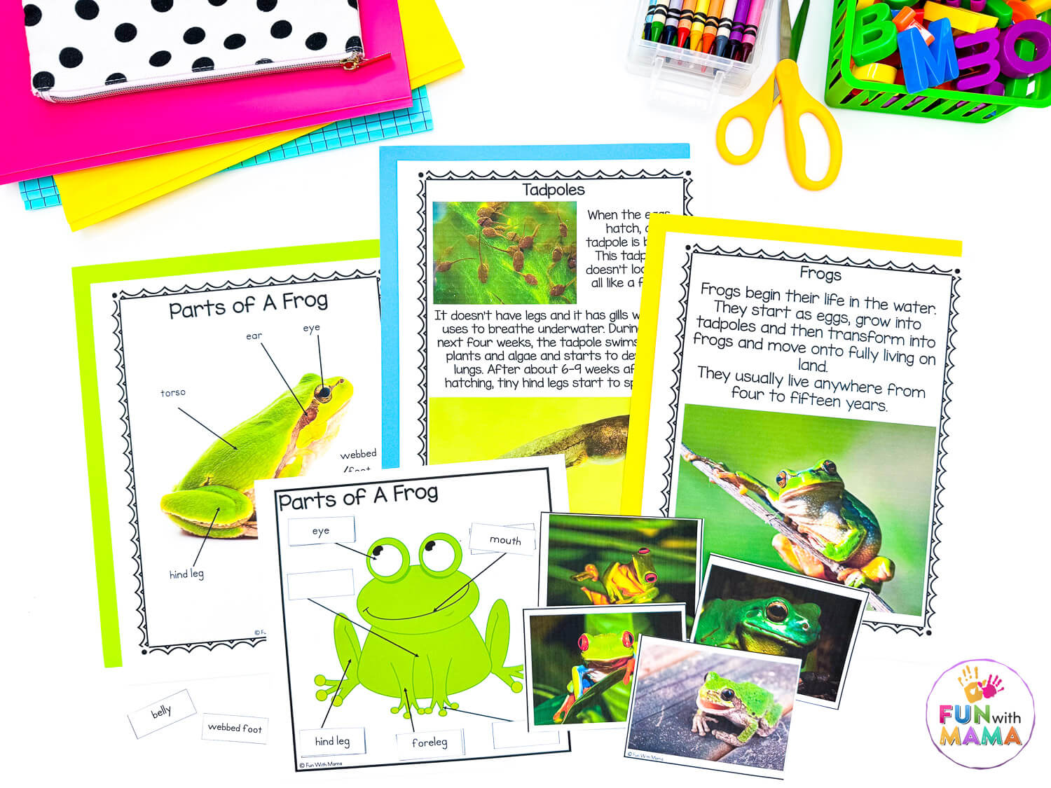 frog science unit