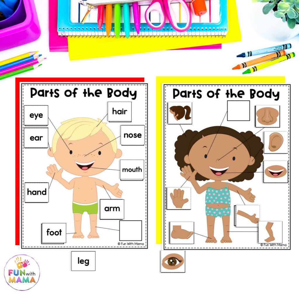 label the body parts