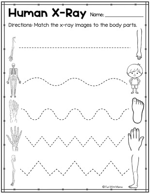 human x-ray